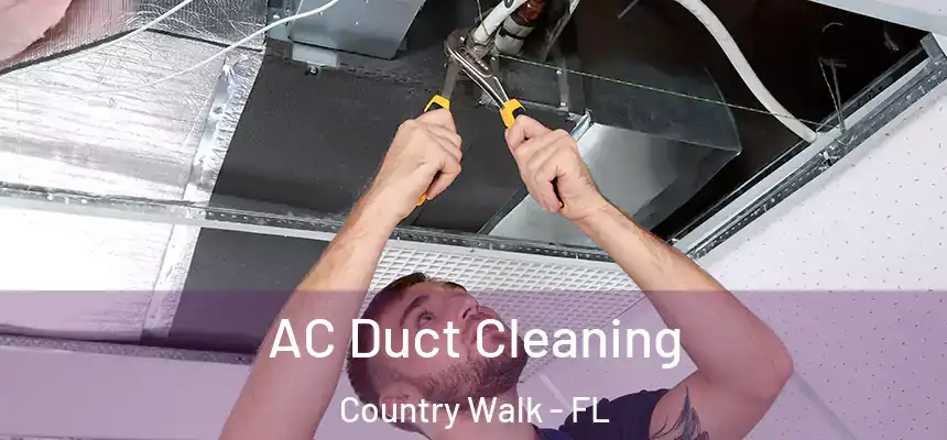 AC Duct Cleaning Country Walk - FL