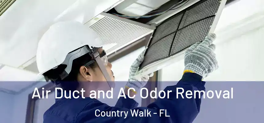 Air Duct and AC Odor Removal Country Walk - FL
