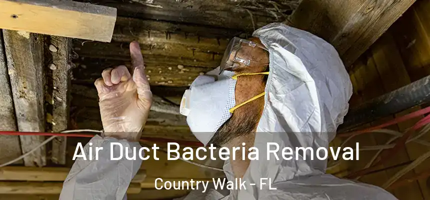 Air Duct Bacteria Removal Country Walk - FL