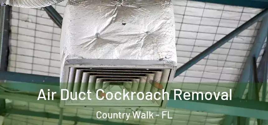  Air Duct Cockroach Removal Country Walk - FL