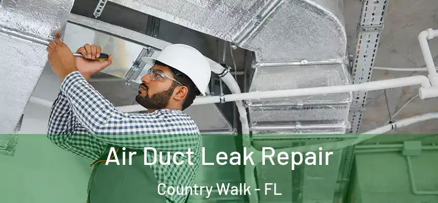 Air Duct Leak Repair Country Walk - FL