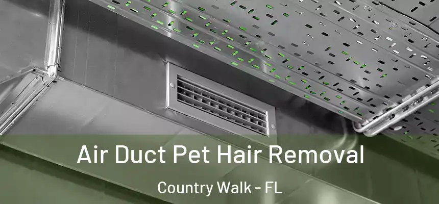 Air Duct Pet Hair Removal Country Walk - FL