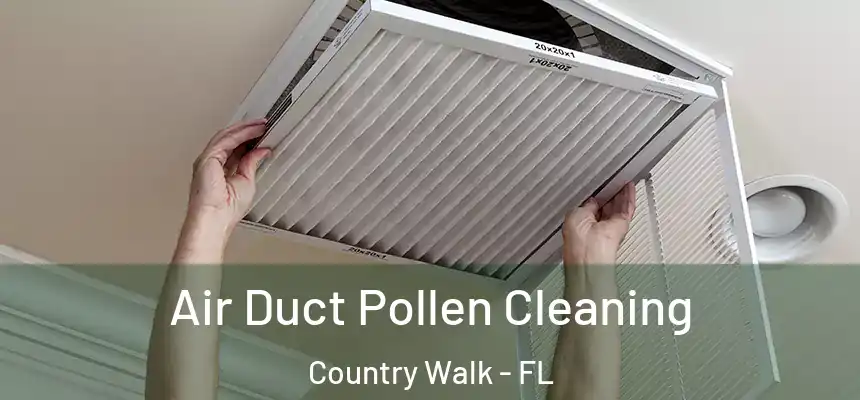 Air Duct Pollen Cleaning Country Walk - FL