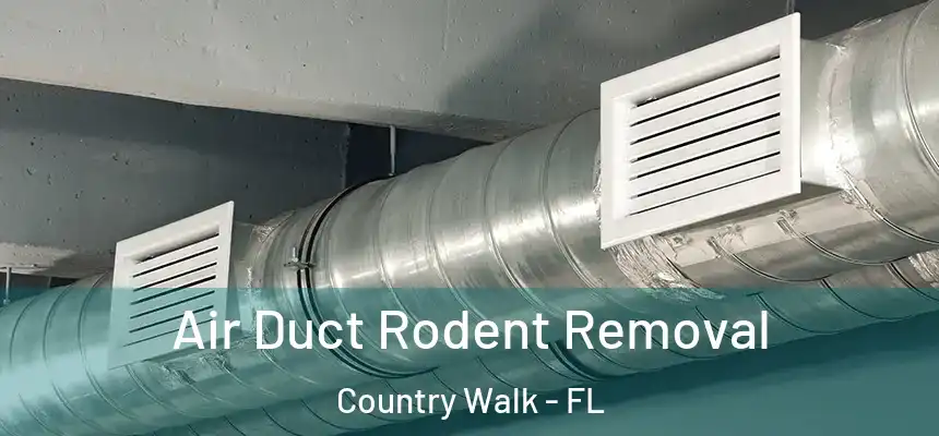  Air Duct Rodent Removal Country Walk - FL
