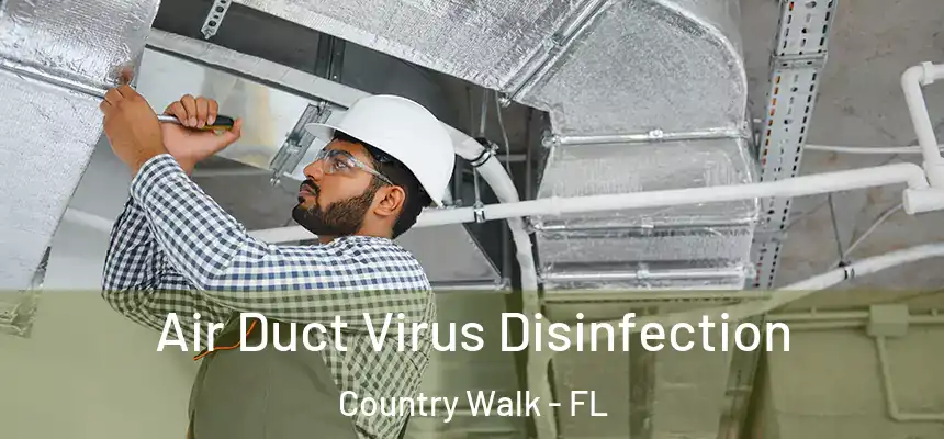  Air Duct Virus Disinfection Country Walk - FL