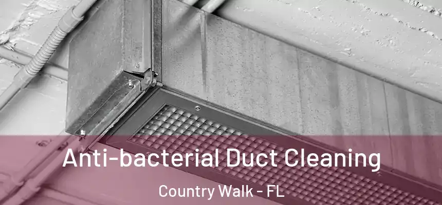  Anti-bacterial Duct Cleaning Country Walk - FL