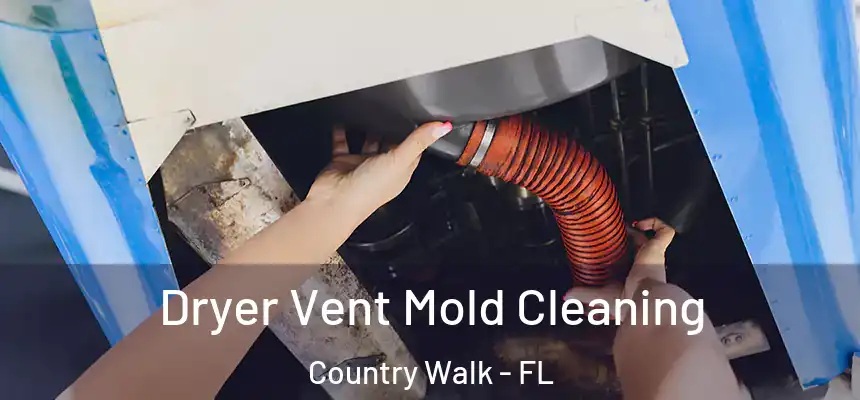 Dryer Vent Mold Cleaning Country Walk - FL