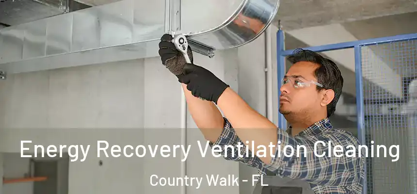 Energy Recovery Ventilation Cleaning Country Walk - FL
