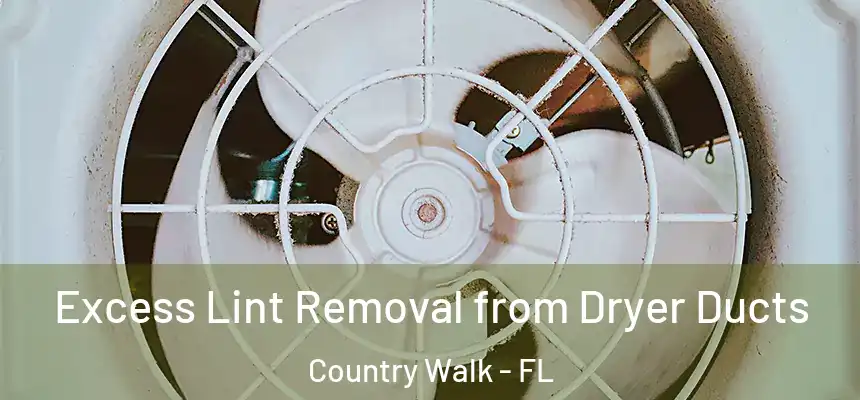  Excess Lint Removal from Dryer Ducts Country Walk - FL
