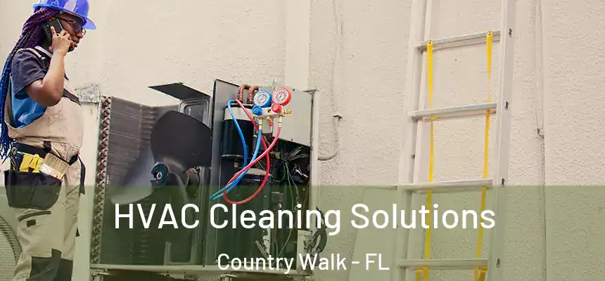HVAC Cleaning Solutions Country Walk - FL