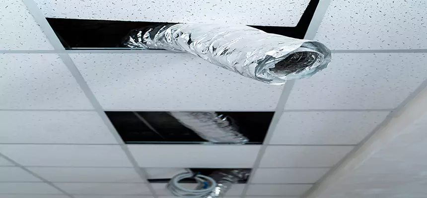 Our Air Duct Pet Hair Removal Services in Country Walk, FL