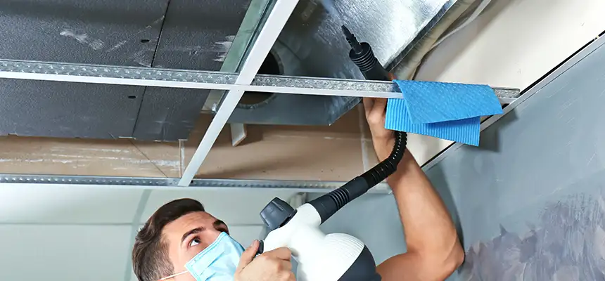 Our Air Duct Rodent Removal Services in Country Walk, FL
