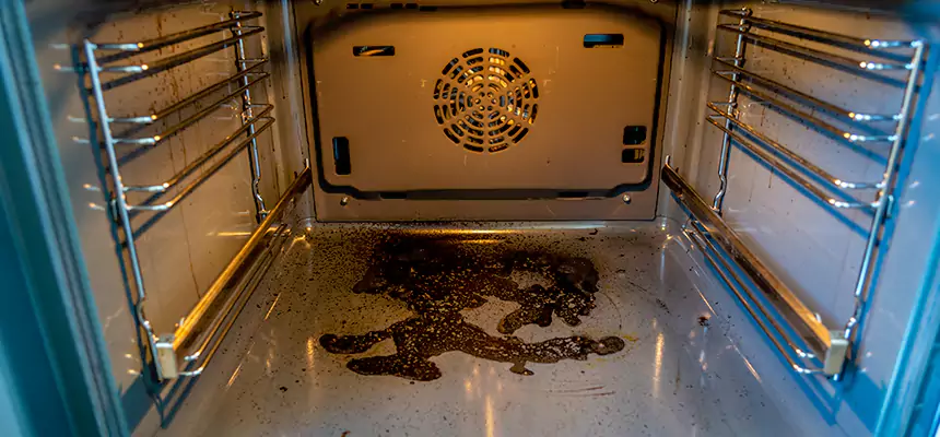 Our Dryer Vent Mold Cleaning Services in Country Walk, FL