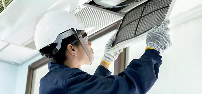 Our Mold & Mildew Removal from Air Ducts Services in Country Walk, FL