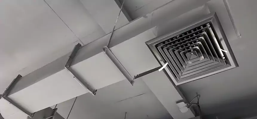 Our Pest Removal From Ducts Services in Country Walk, FL