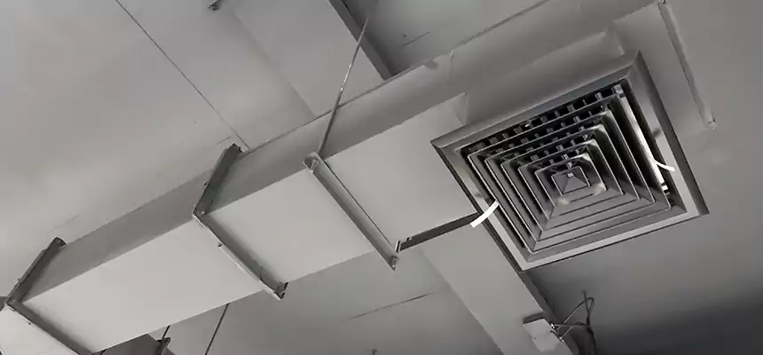 Our Rodent Droppings In Vents Services in Country Walk, FL