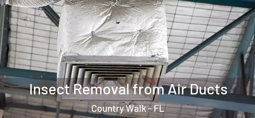 Insect Removal from Air Ducts Country Walk - FL