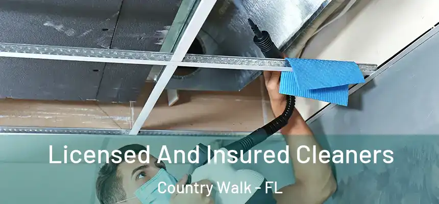  Licensed And Insured Cleaners Country Walk - FL