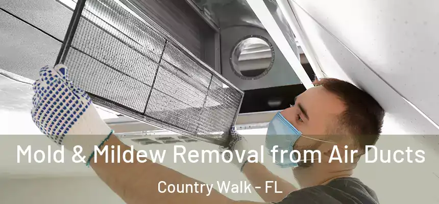  Mold & Mildew Removal from Air Ducts Country Walk - FL