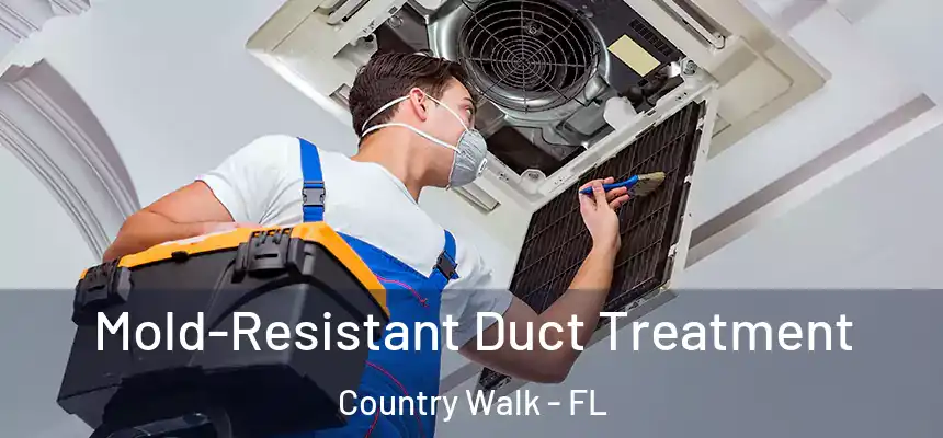  Mold-Resistant Duct Treatment Country Walk - FL