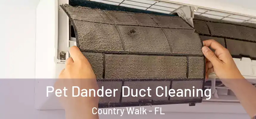  Pet Dander Duct Cleaning Country Walk - FL