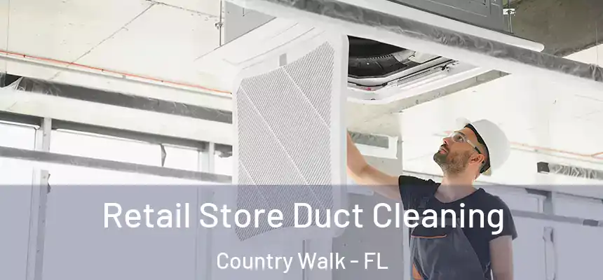 Retail Store Duct Cleaning Country Walk - FL