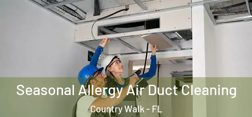 Seasonal Allergy Air Duct Cleaning Country Walk - FL