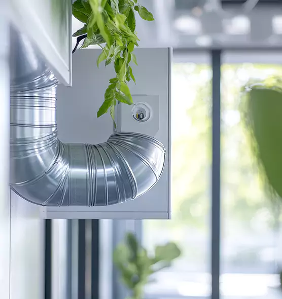 Professional Eco-Safe Dryer Vent Cleaning in Country Walk, FL