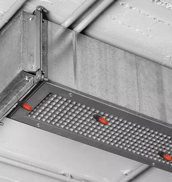 Affordable Insect Removal from Air Ducts in Country Walk, FL