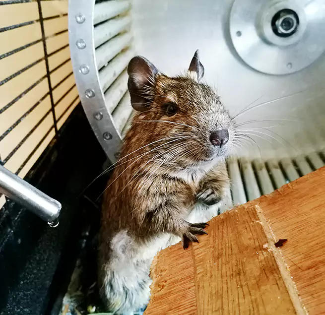 Why Homeowners & Businesses Trust Us Country Walk, FL