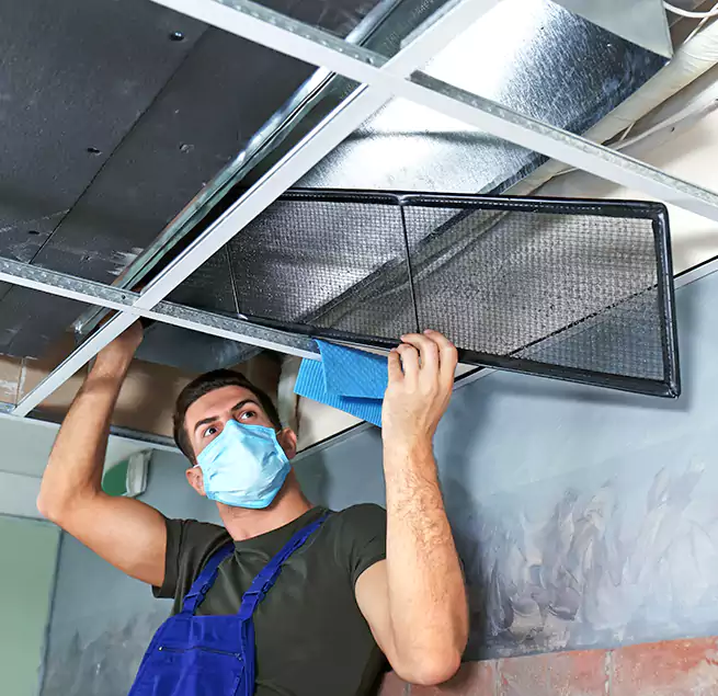 Why Homeowners Businesses Trust Us in Country Walk, FL