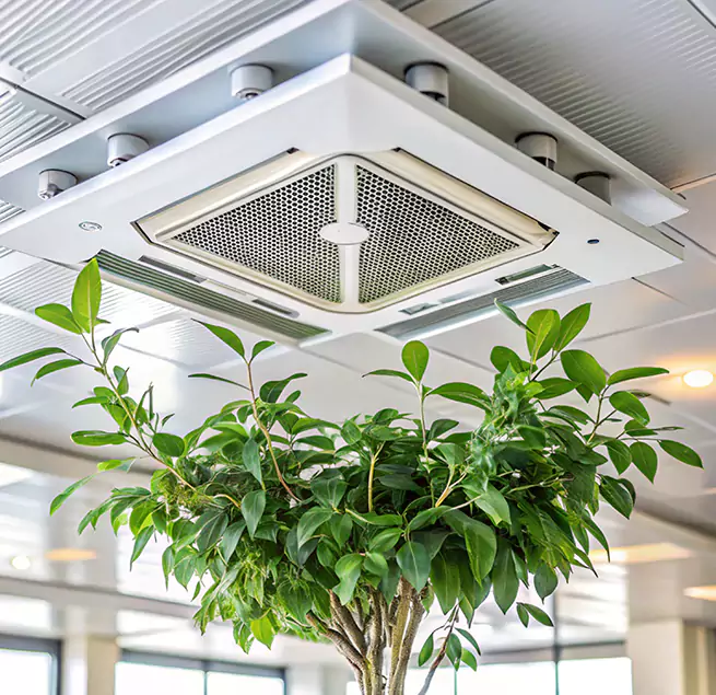 Why Homeowners & Businesses Trust Us in Country Walk, FL?