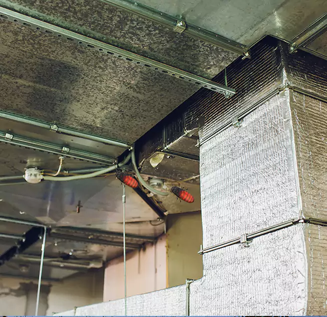 Why Homeowners & Businesses Trust Us Country Walk, FL?