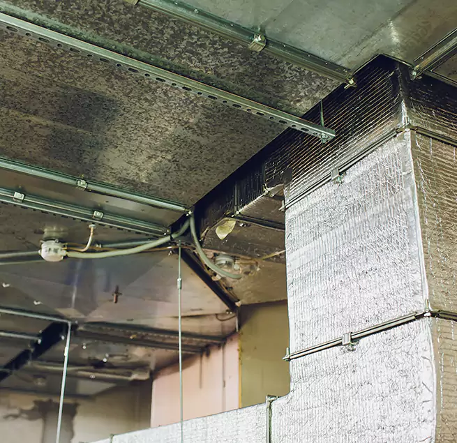 Why Homeowners & Businesses Trust Us in Country Walk, FL?