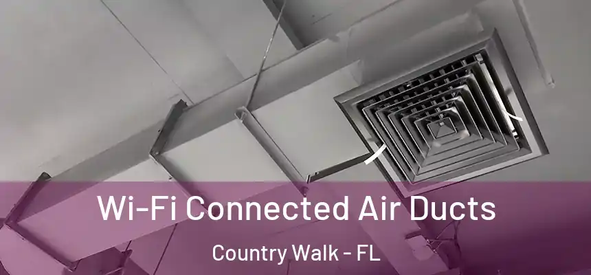  Wi-Fi Connected Air Ducts Country Walk - FL